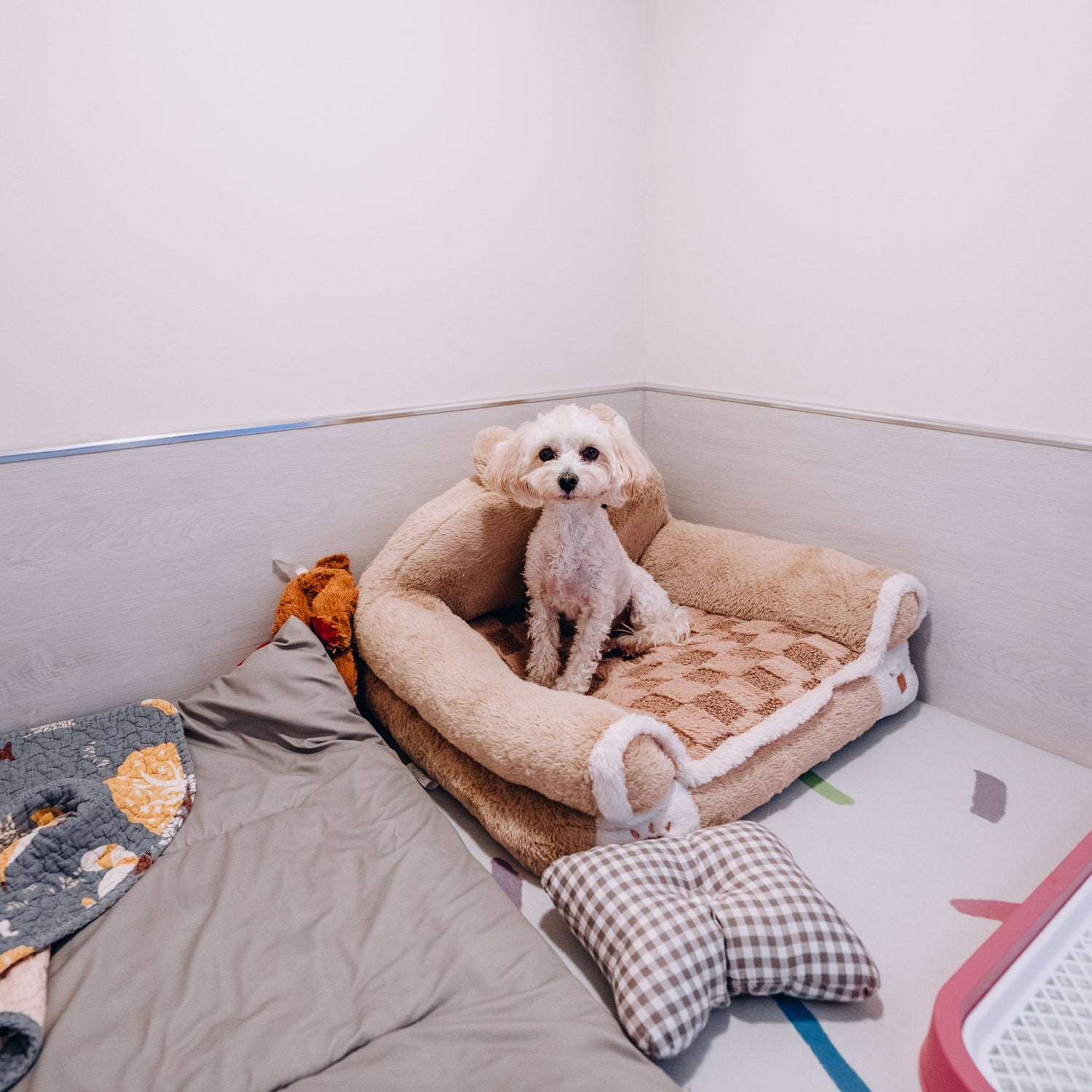 poochnannies-dogsit